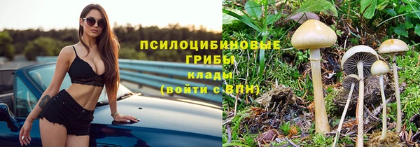прущая мука Бронницы