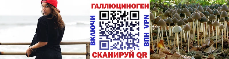 блэк спрут онион  Томари  Псилоцибиновые грибы GOLDEN TEACHER 